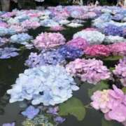 ヒメ日記 2025/06/05 10:44 投稿 れん ミセス大阪十三店