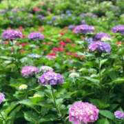 ヒメ日記 2025/06/17 16:14 投稿 れん ミセス大阪十三店