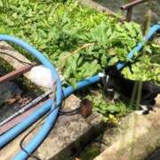 ヒメ日記 2025/07/01 09:38 投稿 れん ミセス大阪十三店