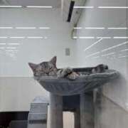 ヒメ日記 2025/07/25 09:33 投稿 れん ミセス大阪十三店