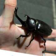 ヒメ日記 2025/07/26 10:05 投稿 れん ミセス大阪十三店