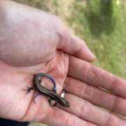 ヒメ日記 2025/07/26 18:46 投稿 れん ミセス大阪十三店