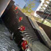 ヒメ日記 2025/07/30 18:28 投稿 れん ミセス大阪十三店