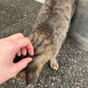 ヒメ日記 2025/10/29 18:02 投稿 れん ミセス大阪十三店