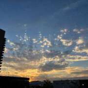 ヒメ日記 2025/11/11 17:49 投稿 れん ミセス大阪十三店