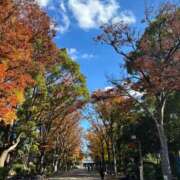 ヒメ日記 2025/12/01 09:48 投稿 れん ミセス大阪十三店