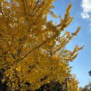 ヒメ日記 2025/12/04 09:47 投稿 れん ミセス大阪十三店