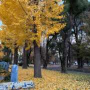 ヒメ日記 2025/12/08 18:49 投稿 れん ミセス大阪十三店