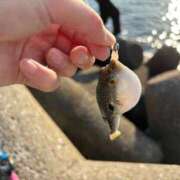 れん おはようございます ミセス大阪十三店