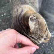 ヒメ日記 2026/01/14 09:52 投稿 れん ミセス大阪十三店