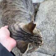 ヒメ日記 2026/02/07 22:49 投稿 れん ミセス大阪十三店