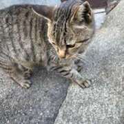 ヒメ日記 2026/02/12 16:20 投稿 れん ミセス大阪十三店