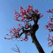 れん ありがとう ミセス大阪十三店