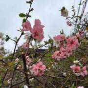 ヒメ日記 2026/04/06 18:55 投稿 れん ミセス大阪十三店