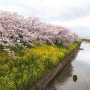 ヒメ日記 2026/04/07 10:23 投稿 れん ミセス大阪十三店