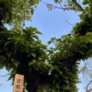 ヒメ日記 2026/04/11 18:43 投稿 れん ミセス大阪十三店