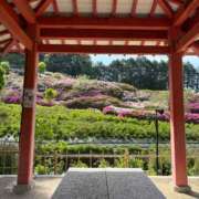 ヒメ日記 2026/05/12 17:49 投稿 れん ミセス大阪十三店