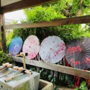 ヒメ日記 2026/09/28 11:24 投稿 れん ミセス大阪十三店