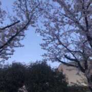 ヒメ日記 2025/04/10 12:26 投稿 みんみ 熟女の風俗最終章 本厚木店