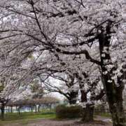 ヒメ日記 2026/04/06 10:21 投稿 みんみ 熟女の風俗最終章 本厚木店