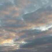 ヒメ日記 2025/02/25 17:53 投稿 あき されるがママ