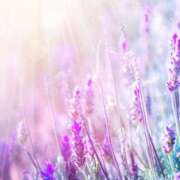 ヒメ日記 2025/03/20 11:06 投稿 あき されるがママ