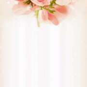 ヒメ日記 2025/04/06 14:32 投稿 あき されるがママ