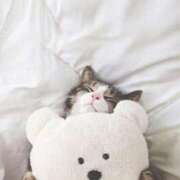 ヒメ日記 2025/05/30 14:52 投稿 あき されるがママ