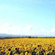 ヒメ日記 2025/06/22 11:51 投稿 あき されるがママ