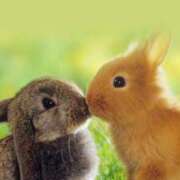 ヒメ日記 2025/08/08 17:56 投稿 あき されるがママ