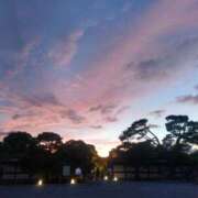 ヒメ日記 2025/08/11 10:59 投稿 あき されるがママ