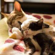 ヒメ日記 2025/09/05 17:57 投稿 あき されるがママ