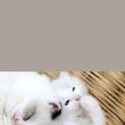 ヒメ日記 2025/09/23 12:13 投稿 あき されるがママ