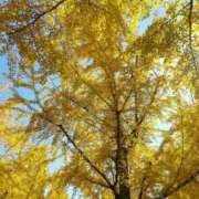 ヒメ日記 2025/11/28 17:54 投稿 あき されるがママ