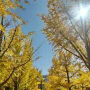 ヒメ日記 2025/12/06 13:20 投稿 あき されるがママ