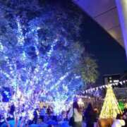 あき 出勤しました(*^^*) されるがママ