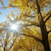 ヒメ日記 2025/12/31 15:59 投稿 あき されるがママ