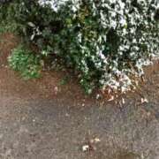 ヒメ日記 2026/02/08 11:11 投稿 あき されるがママ