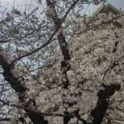 ヒメ日記 2026/03/29 15:34 投稿 あき されるがママ