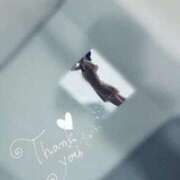 ヒメ日記 2025/03/23 07:03 投稿 坂口みほ セレブショップ新宿（東京ハレ系）