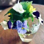 ヒメ日記 2025/04/17 07:06 投稿 坂口みほ セレブショップ新宿（東京ハレ系）