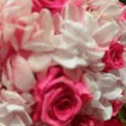 ヒメ日記 2026/03/21 05:28 投稿 坂口みほ セレブショップ新宿（東京ハレ系）