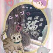 ヒメ日記 2025/02/22 20:16 投稿 うみ 新宿泡洗体デラックスエステ