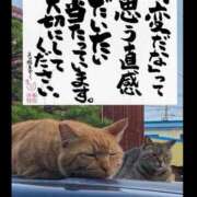 ヒメ日記 2025/05/16 20:47 投稿 うみ 新宿泡洗体デラックスエステ