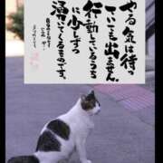 ヒメ日記 2025/05/17 20:02 投稿 うみ 新宿泡洗体デラックスエステ