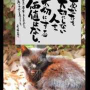 ヒメ日記 2025/05/18 05:22 投稿 うみ 新宿泡洗体デラックスエステ