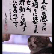 ヒメ日記 2025/05/23 05:00 投稿 うみ 新宿泡洗体デラックスエステ