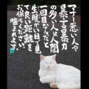 ヒメ日記 2025/05/23 18:25 投稿 うみ 新宿泡洗体デラックスエステ