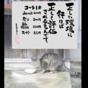 ヒメ日記 2025/05/28 21:49 投稿 うみ 新宿泡洗体デラックスエステ