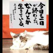 ヒメ日記 2025/05/29 05:00 投稿 うみ 新宿泡洗体デラックスエステ